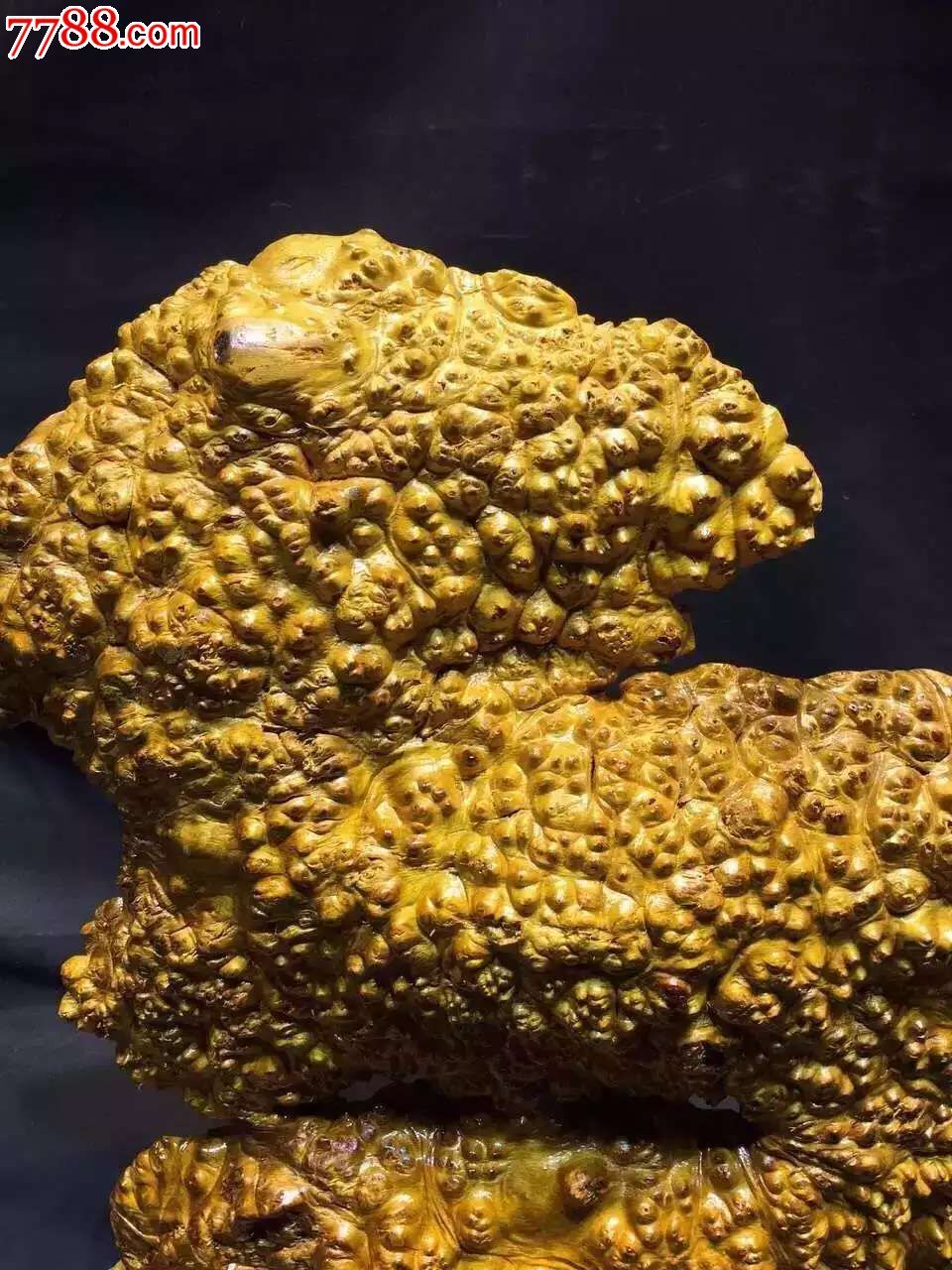 极品缅甸黄金樟摆件公
