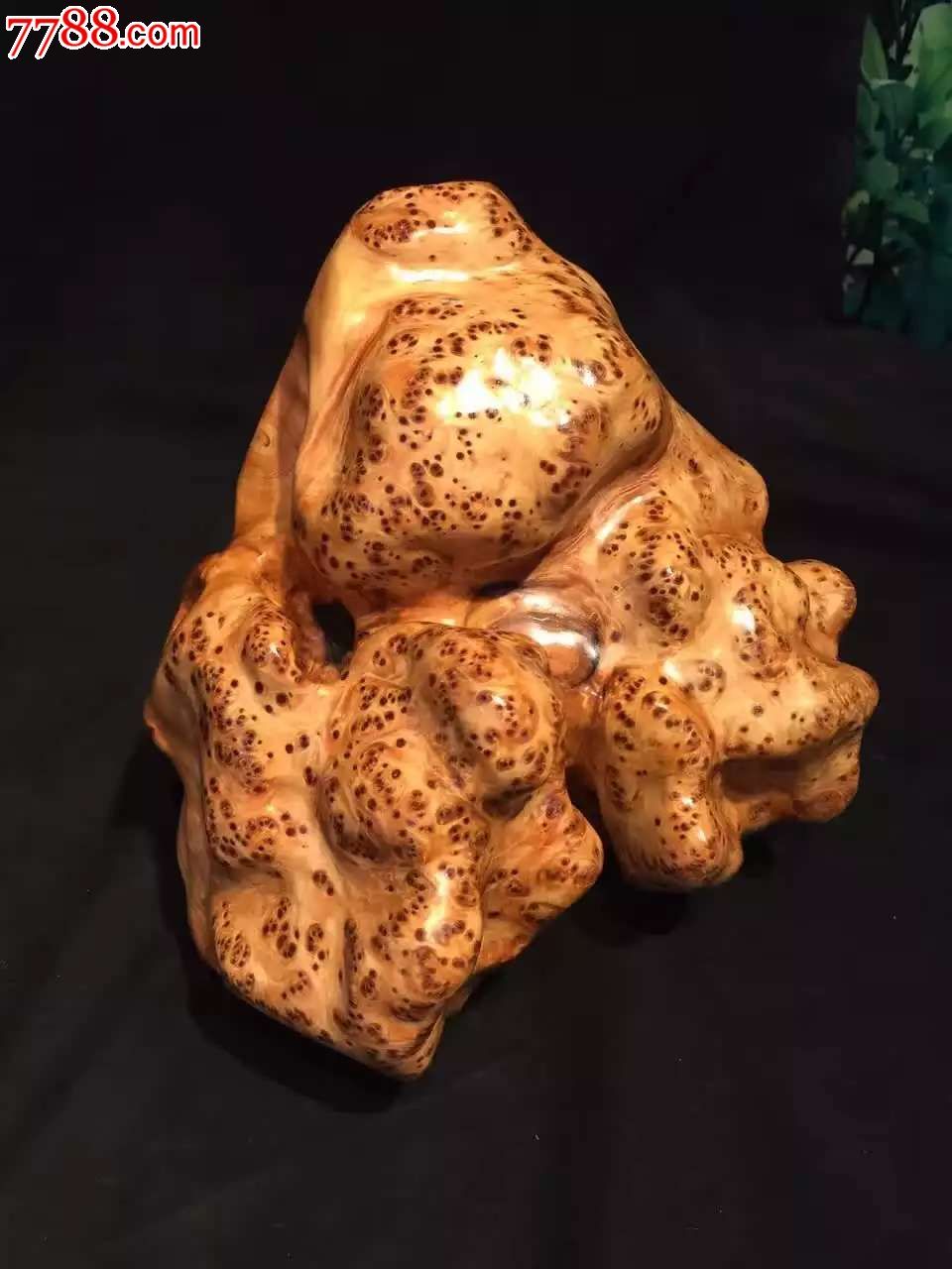 精品崖柏满瘤摆件富贵