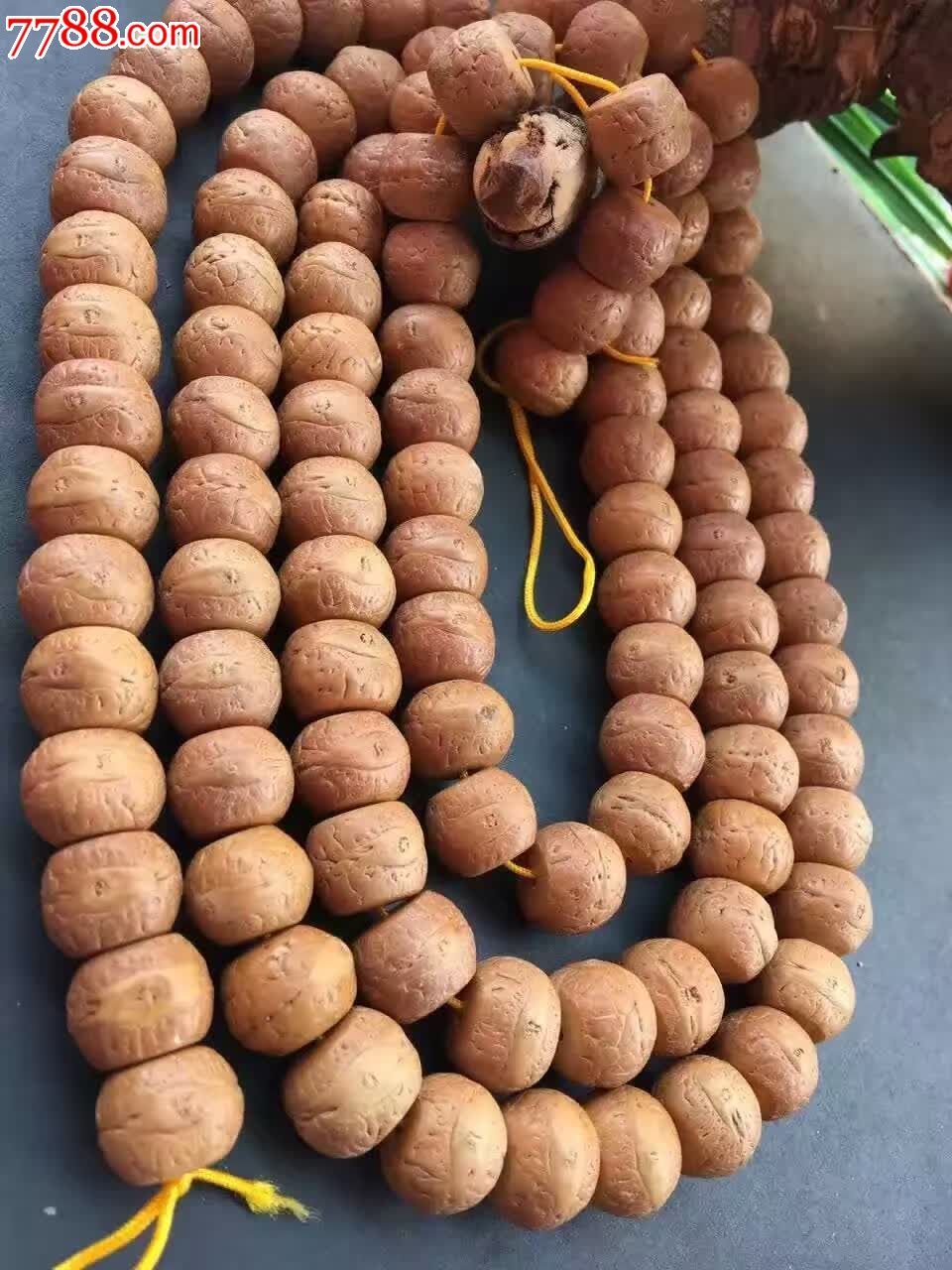 藏式切片凤眼菩提正眼