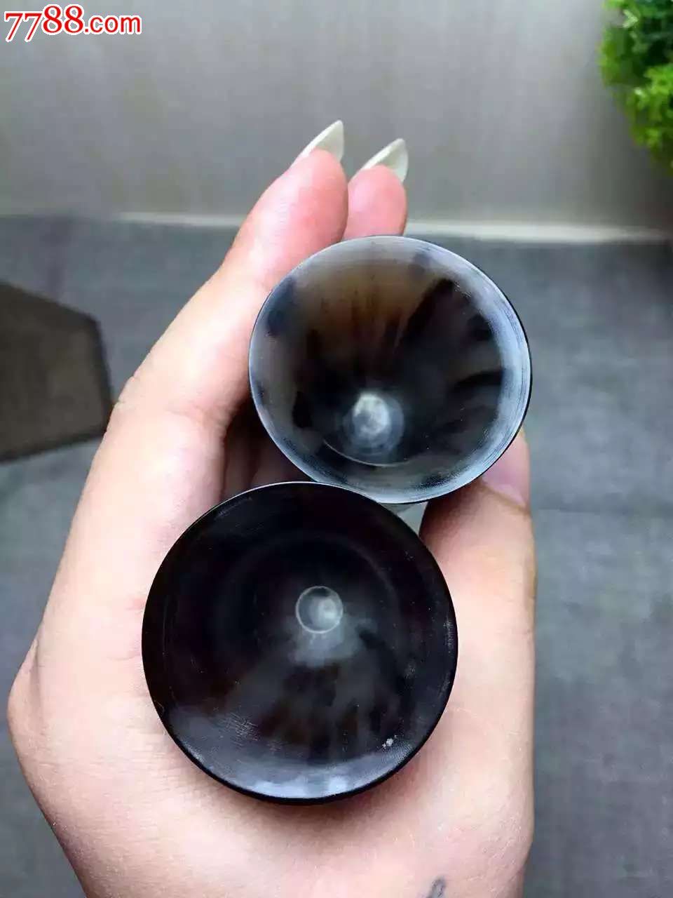 牦牛角小酒杯杯7杯口