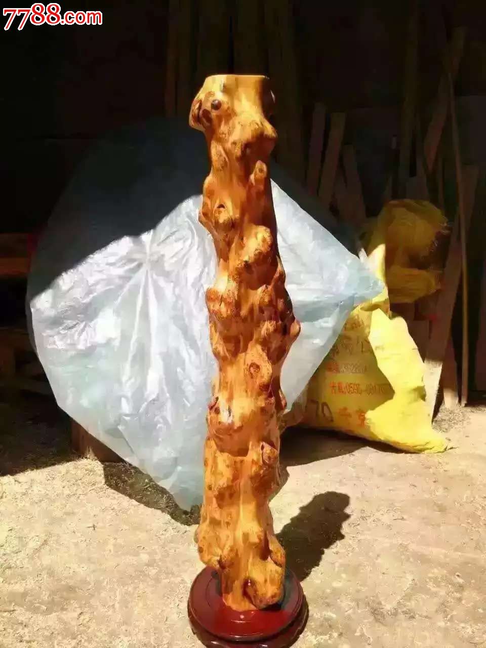 太行瘤子料满瘤油度拍