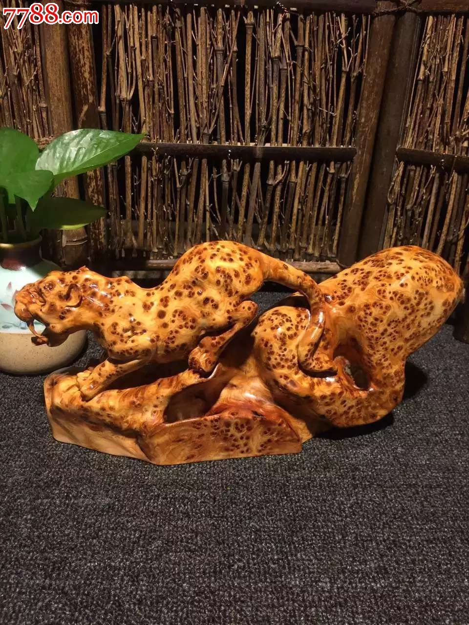 一路豹发太行老料爆满