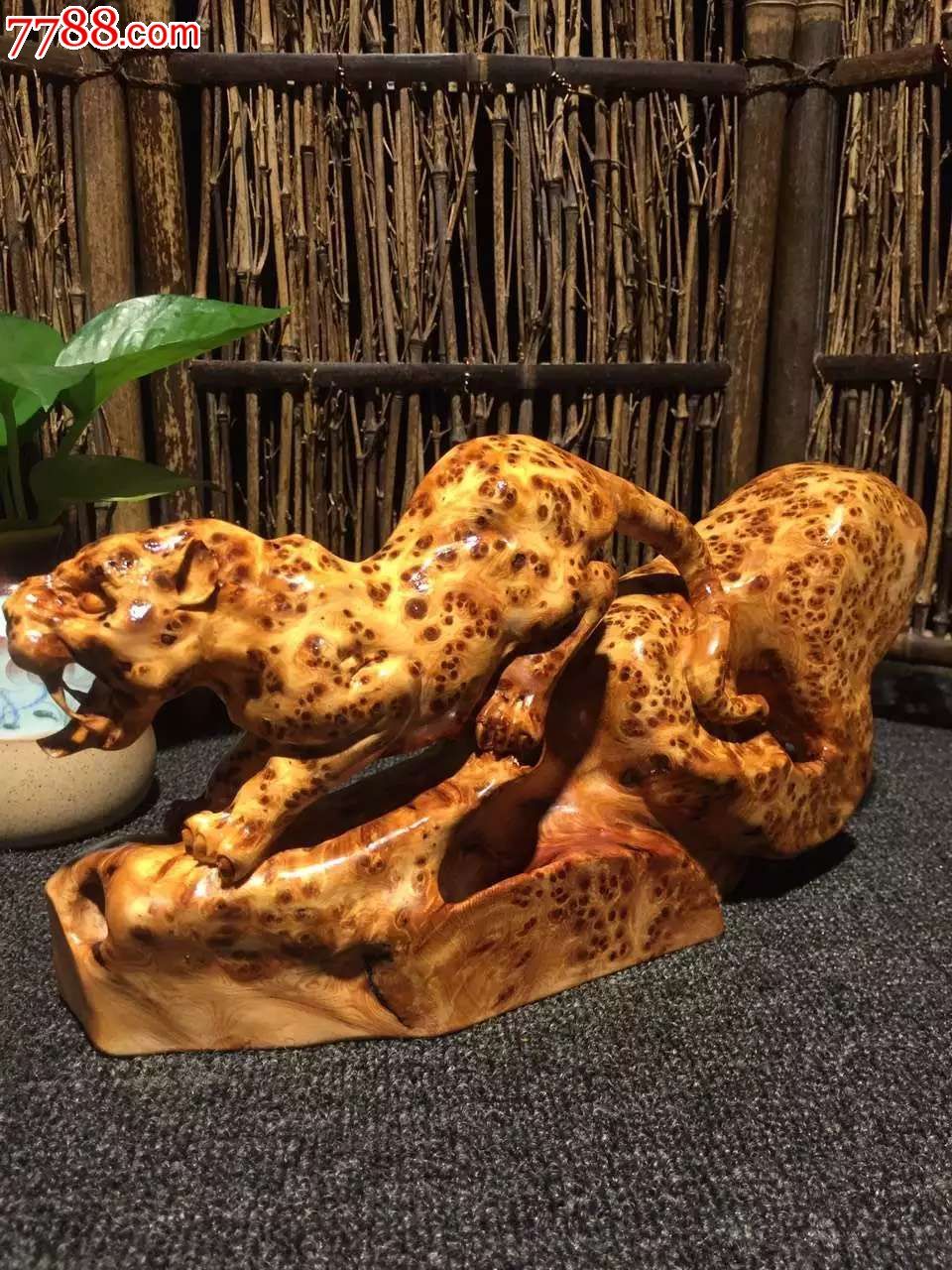 一路豹发太行老料爆满