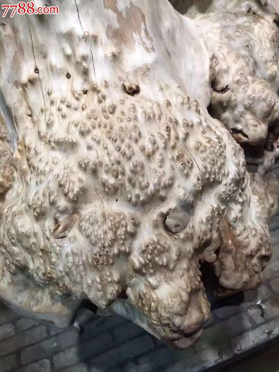 精品杉木瘤花架