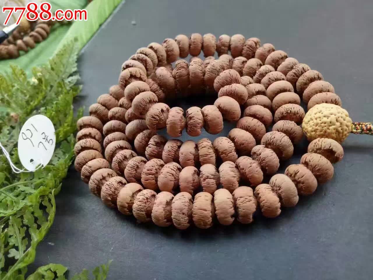 号野生细纹莲花菩提自