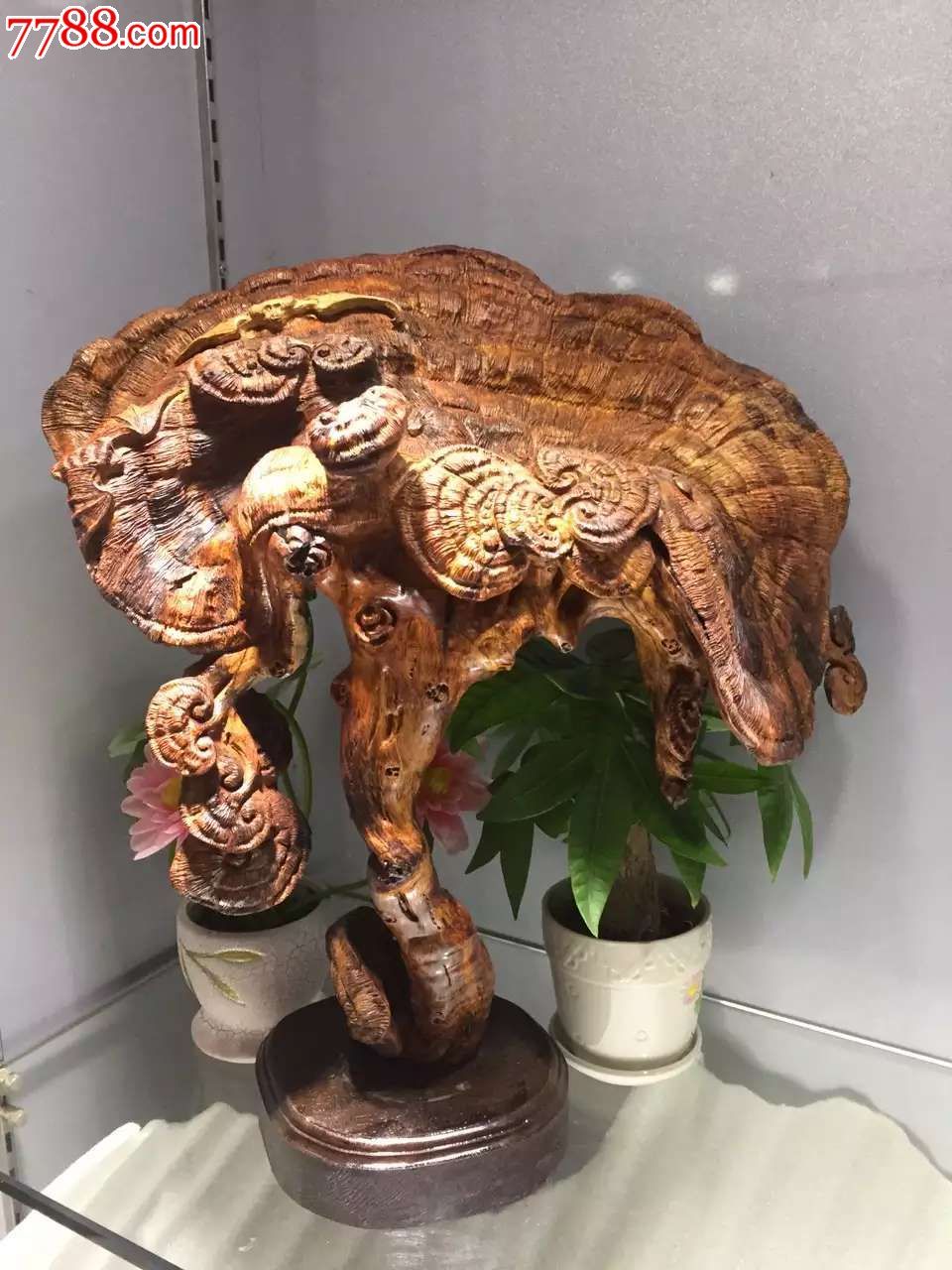 黄花梨万年灵芝百福献