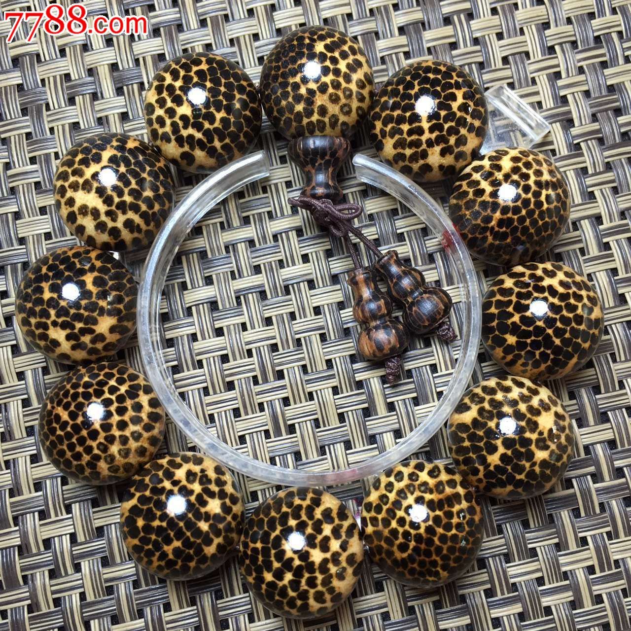 特顶级蛇鳞木鳞片爆满