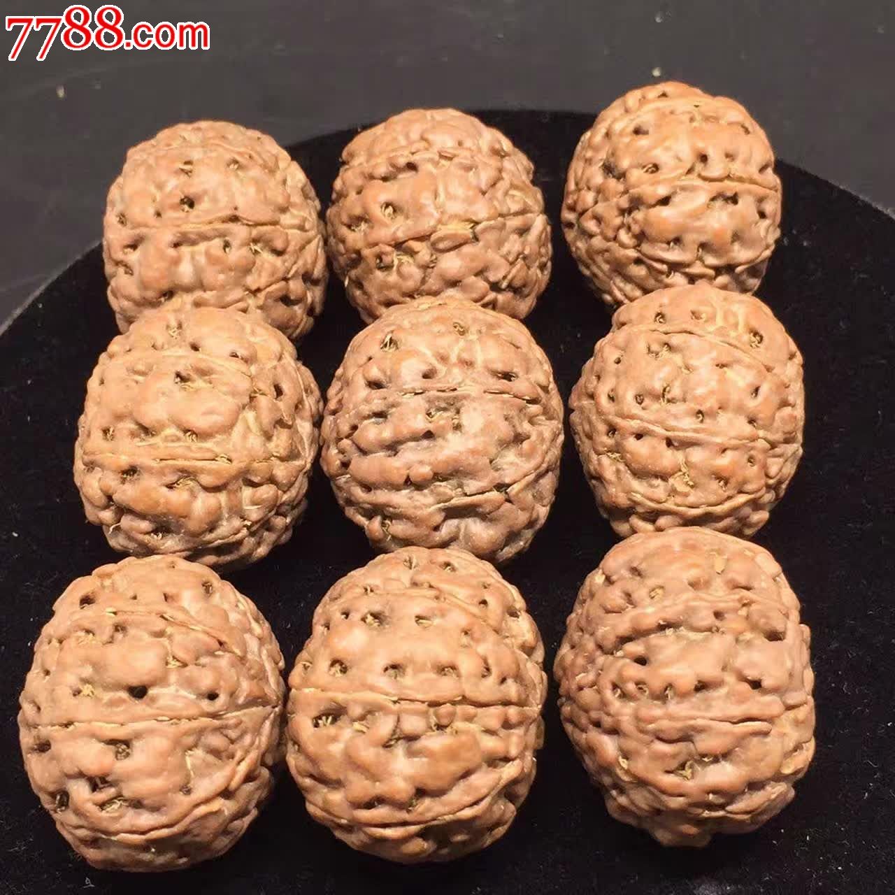 印尼八瓣蜂窝金刚矮桩