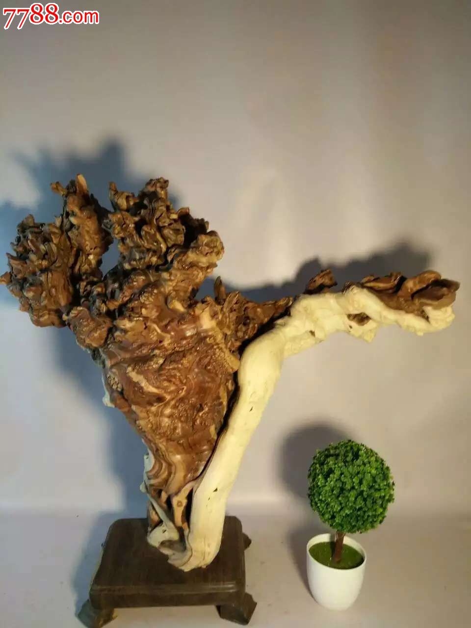 精品霸王根富贵树寓意,其他根雕/木雕,其他根雕/木雕,其他木质,年代