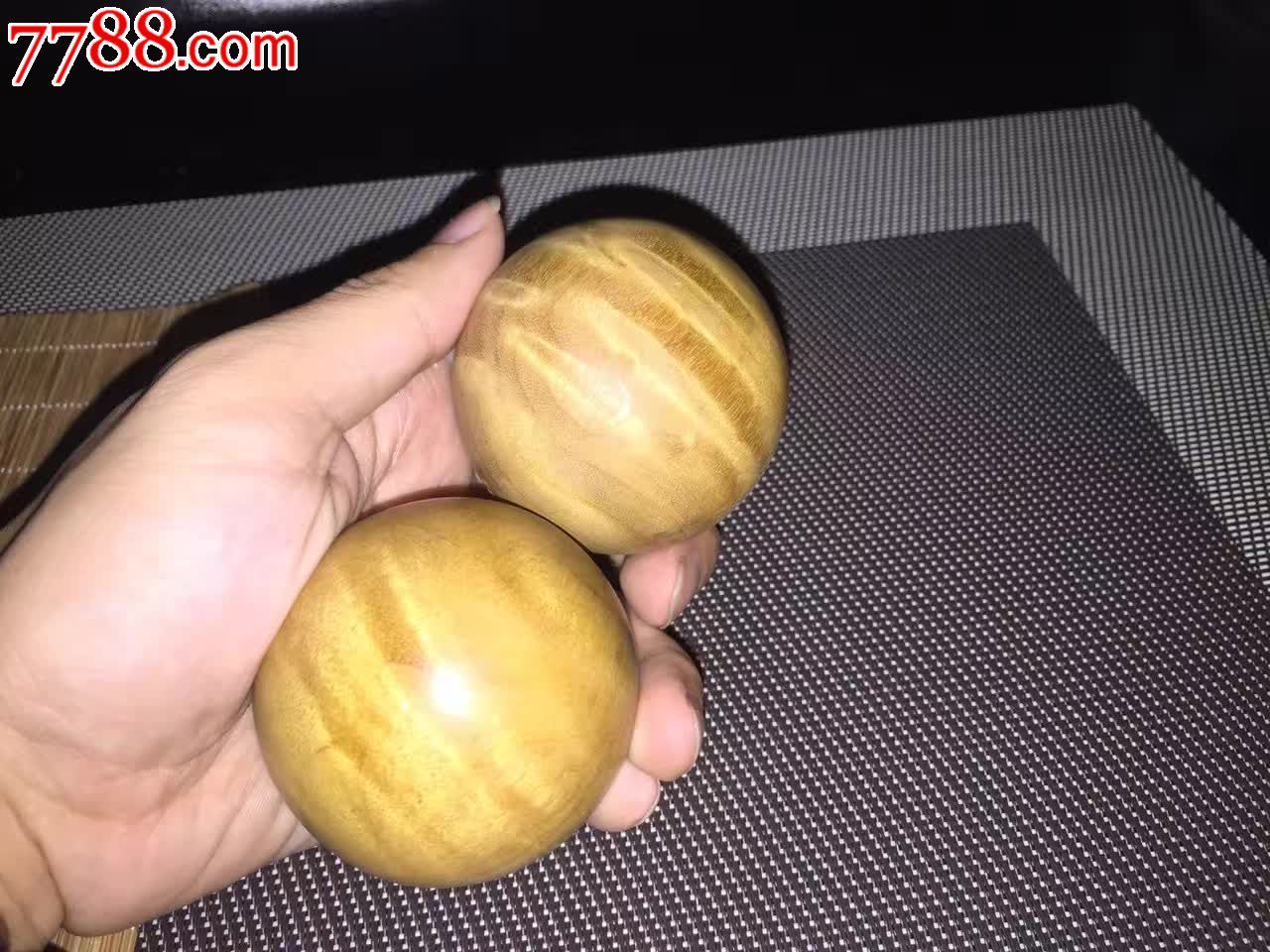 正宗金丝楠小叶桢楠果