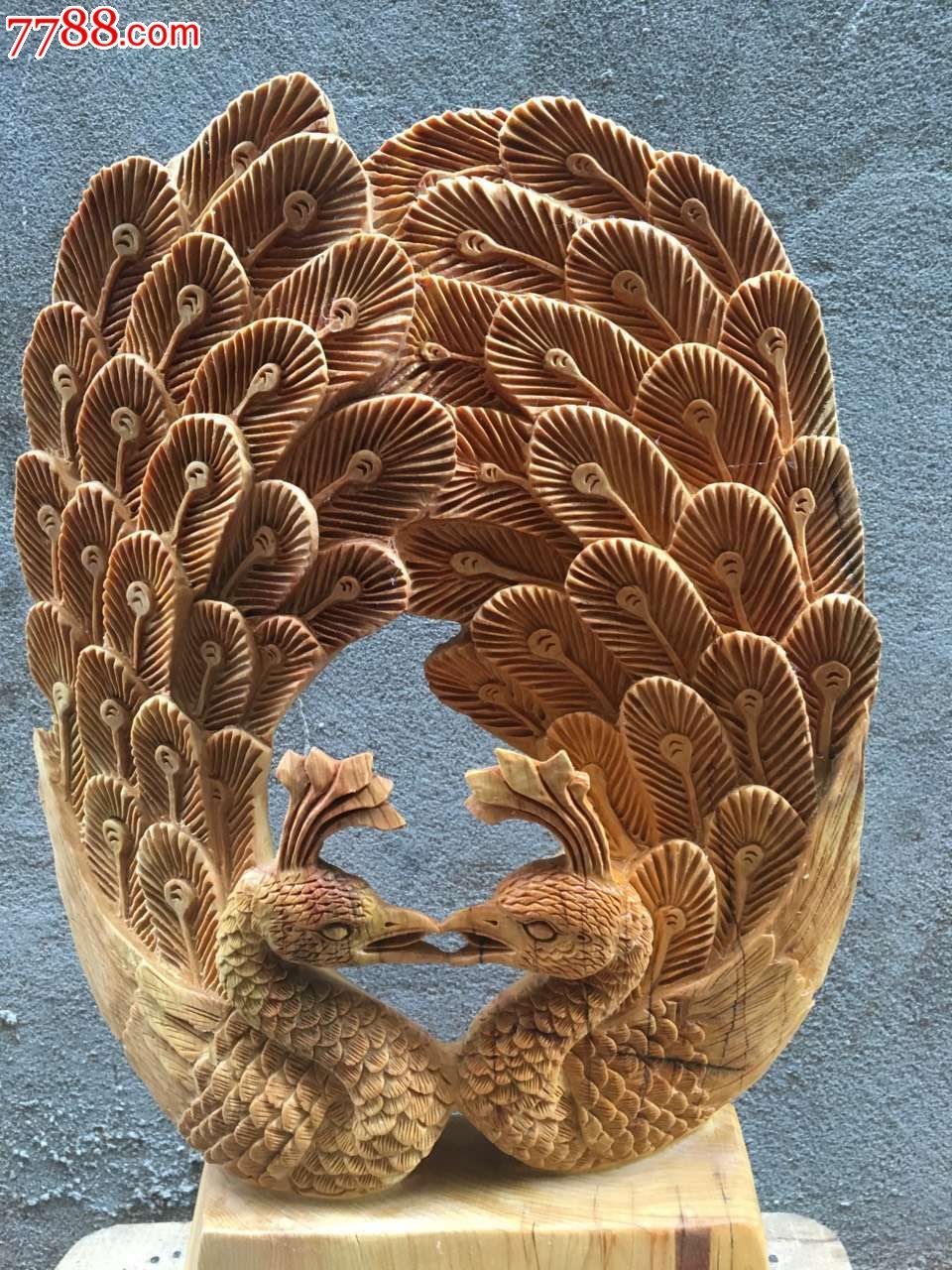 崖柏恩爱一生孔雀速度