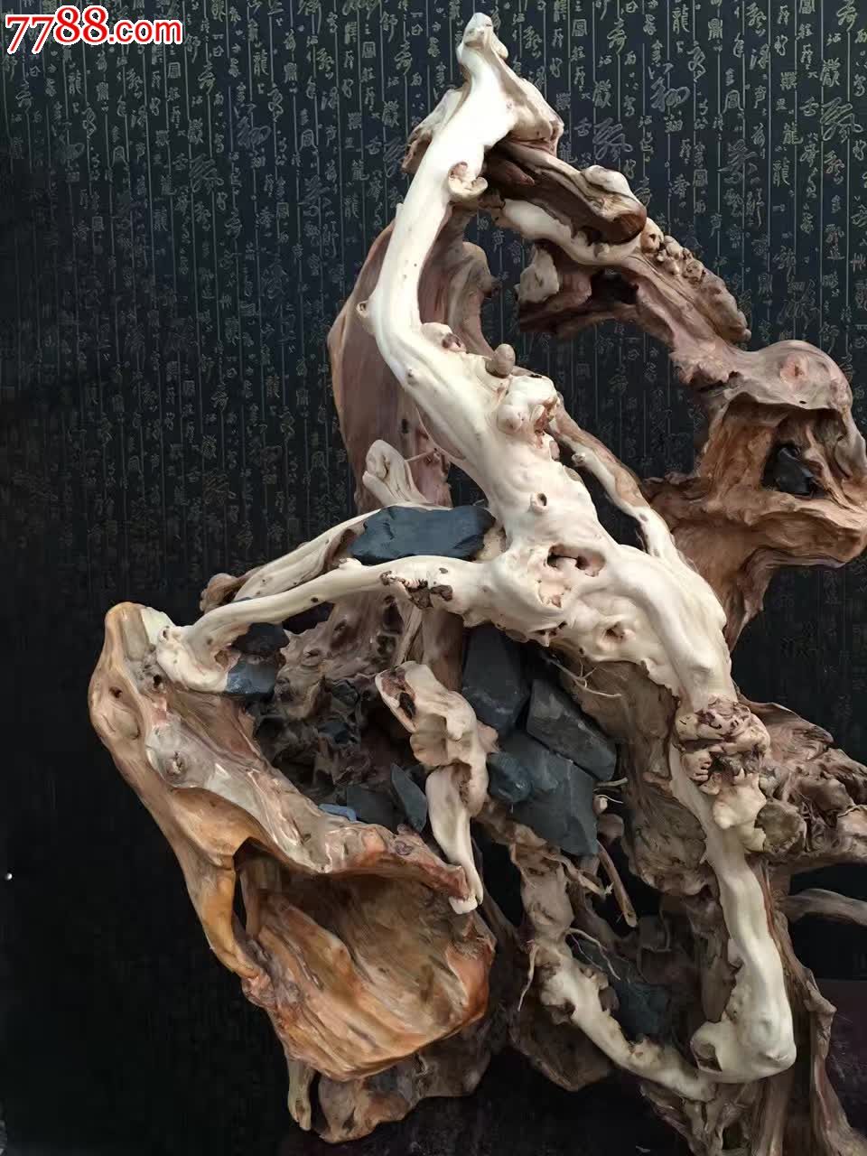 崖柏天然根抱石重37