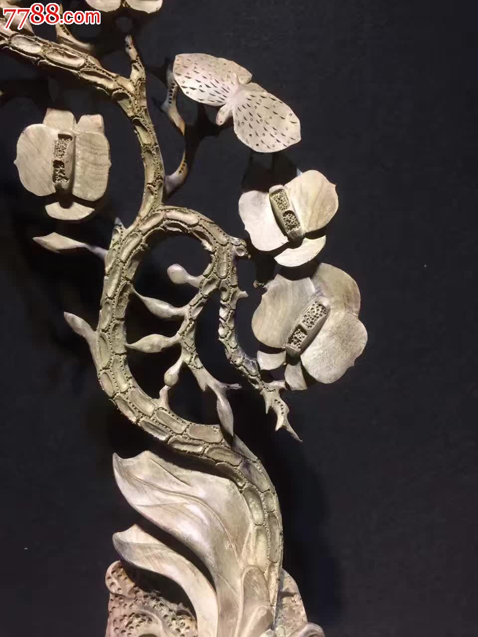 极品阴沉金丝楠蝴蝶兰