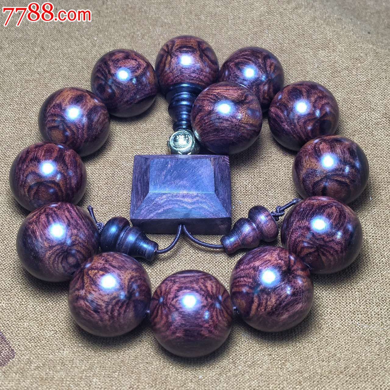 海黄紫油梨蜘蛛对眼眼