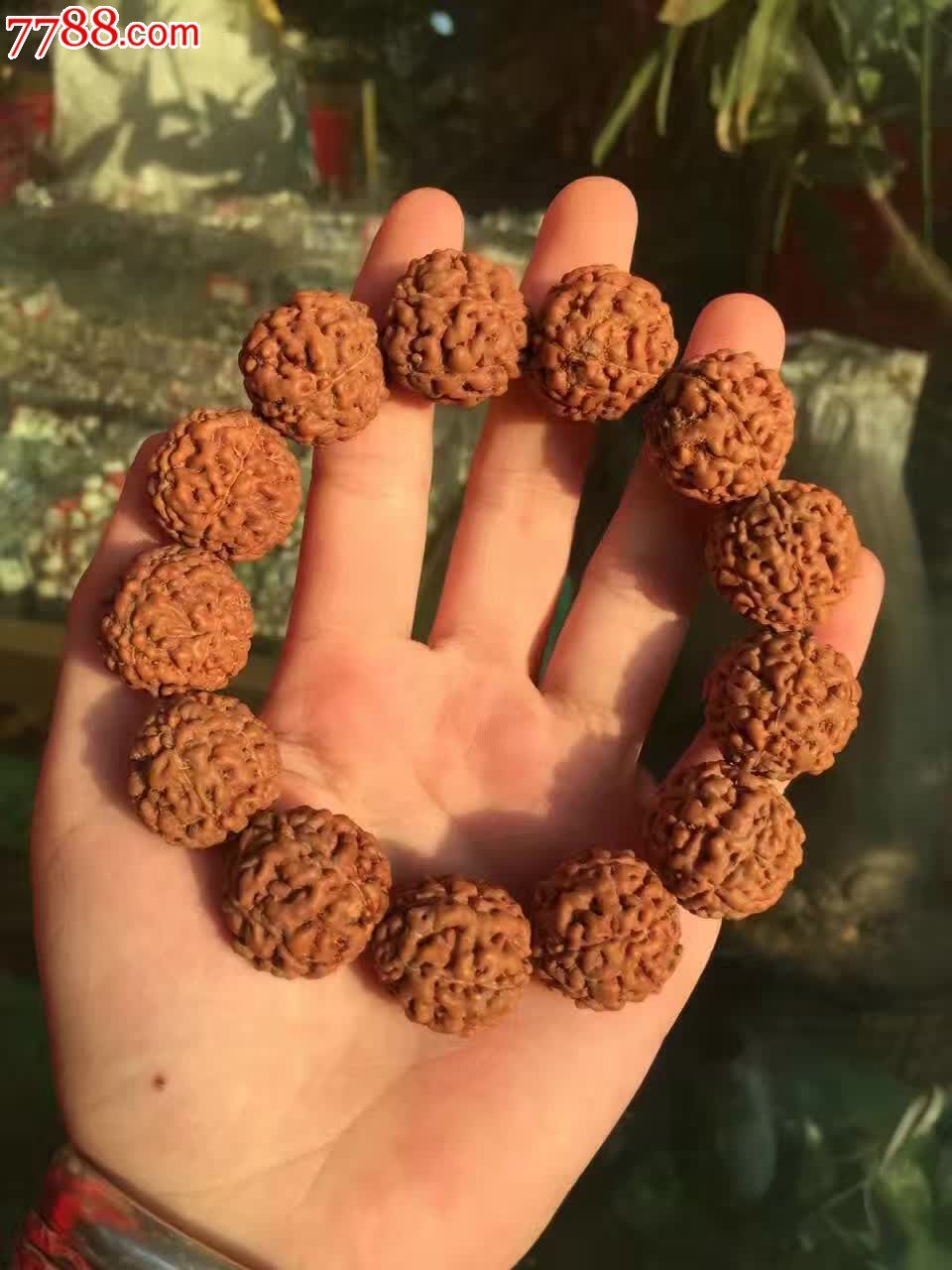 印尼六瓣白线脑纹金刚