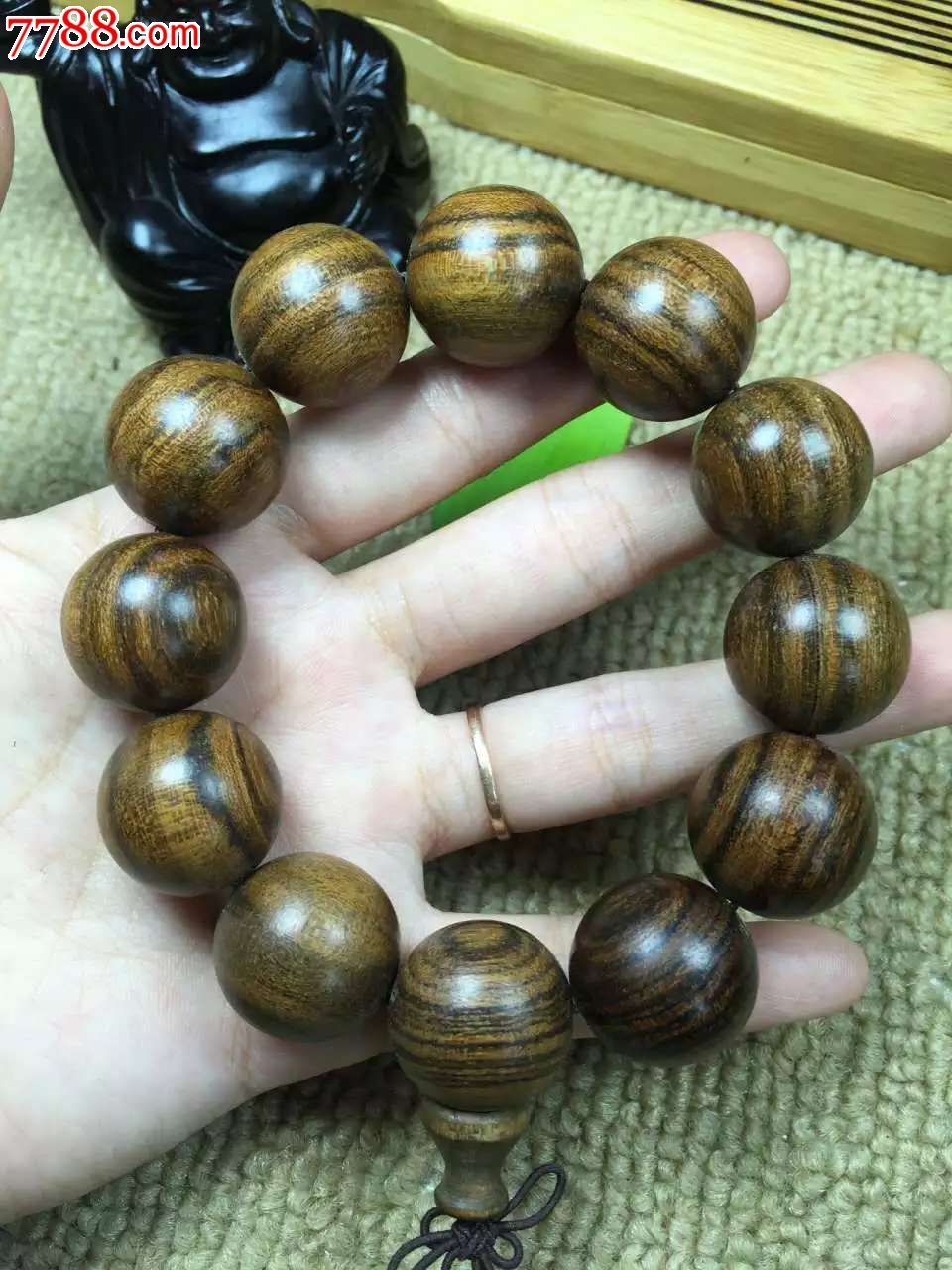 虎皮檀20