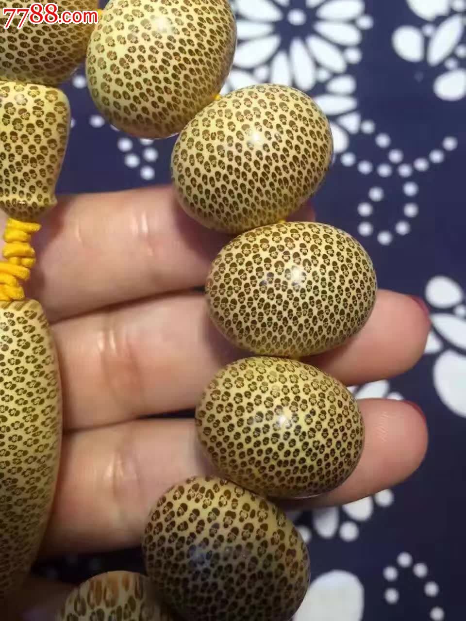 纯正非洲龙血金丝竹盘