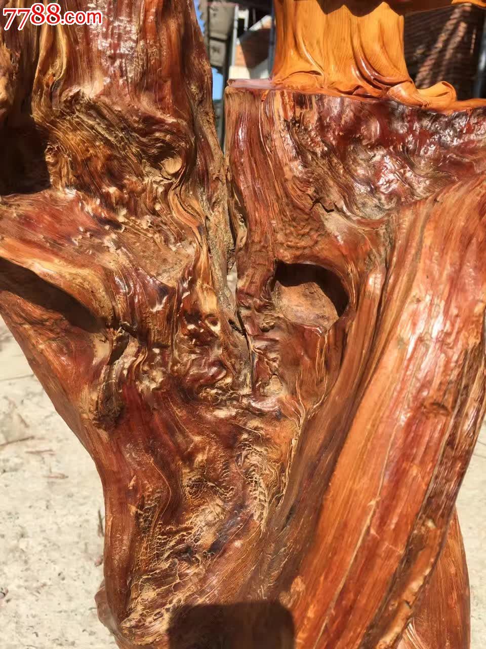 太行崖柏陈化红骨老料