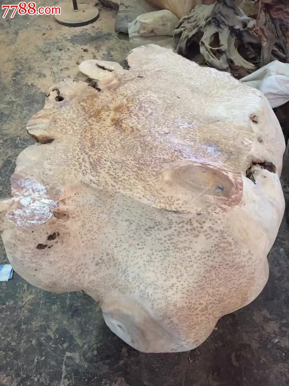 杉木瘤满瘤茶桌有意的