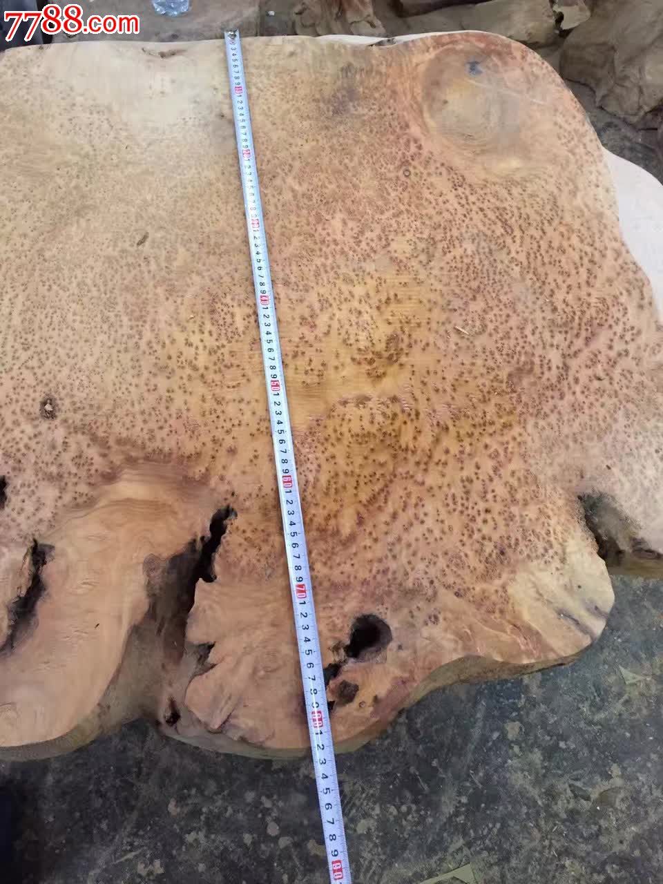 杉木瘤满瘤茶桌有意的