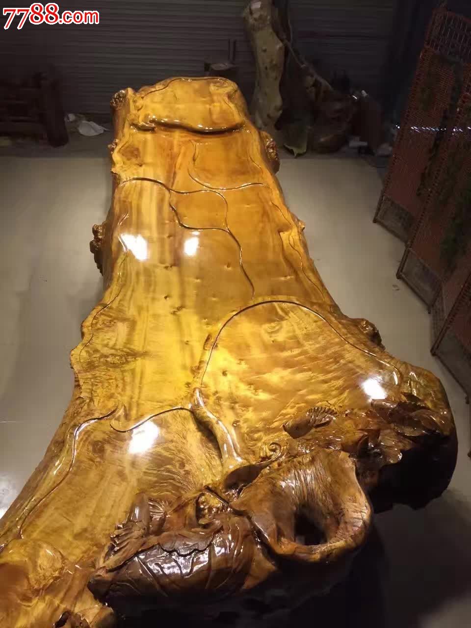 超大号缅甸黄金樟天然