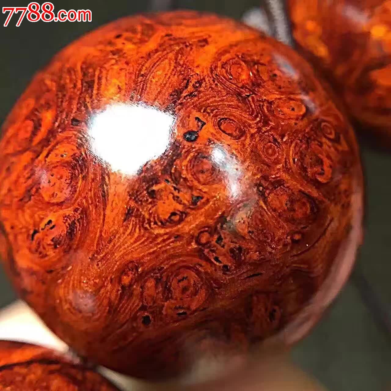 仙珠万年的孤寂只待今