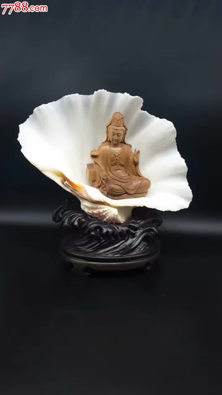 檀香精品蛤蜊观音设计