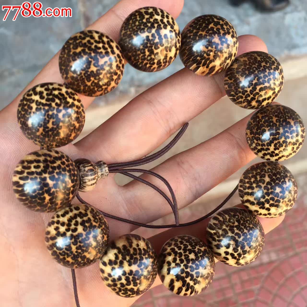 蛇鳞木20极品蛇皮纹