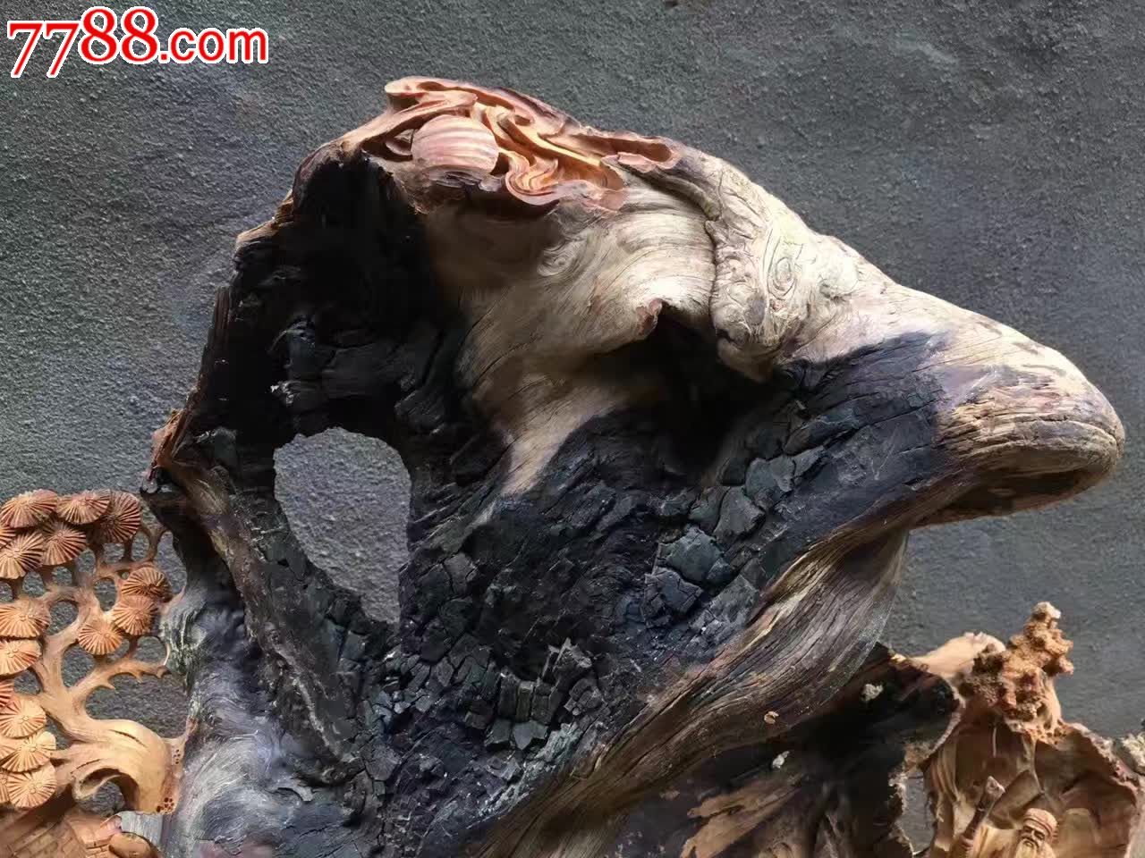 崖柏雷击木深山访友天