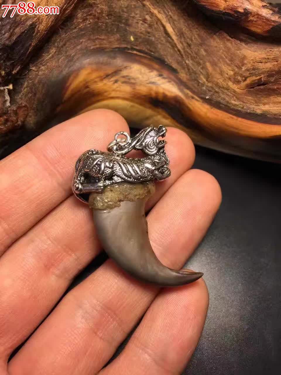 福利带骨熊勾子仅此一