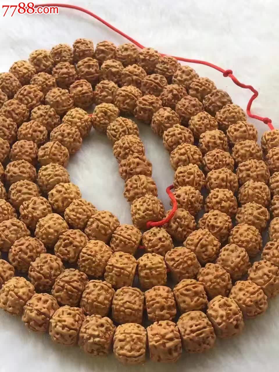 藏式切片金刚菩提13
