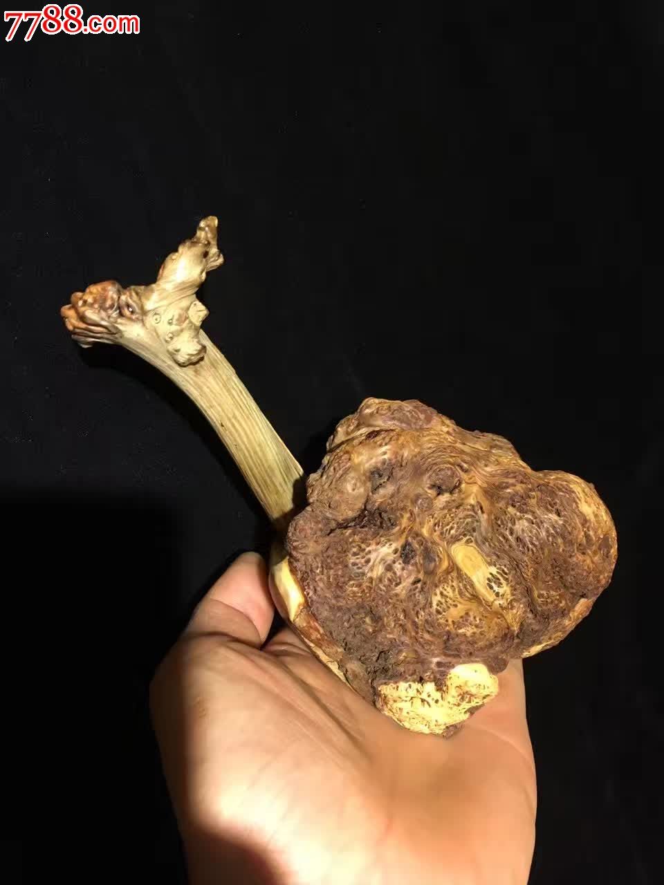 太行崖柏蚂蚁腿寿榴花