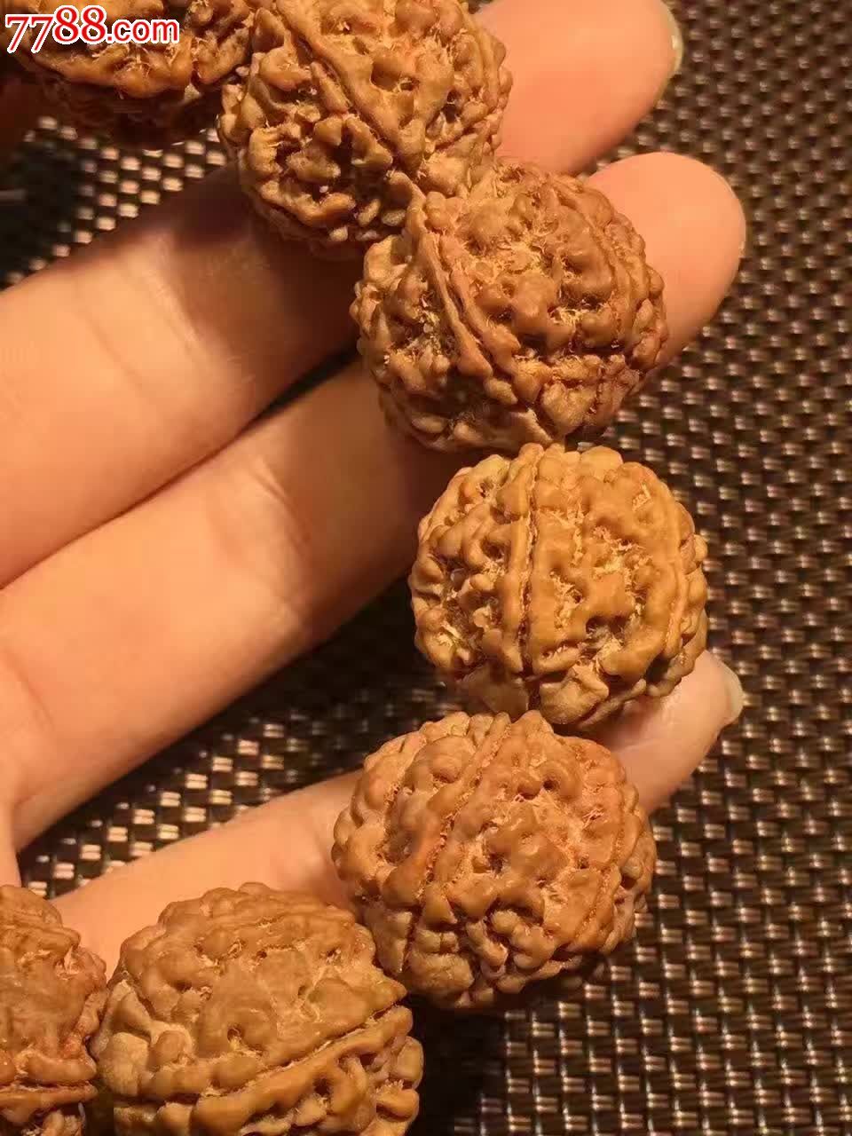 6瓣黄金皮手串精选爆