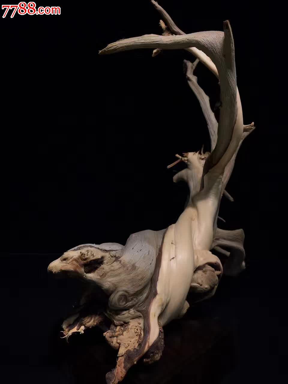 典藏崖柏一路豹发正宗