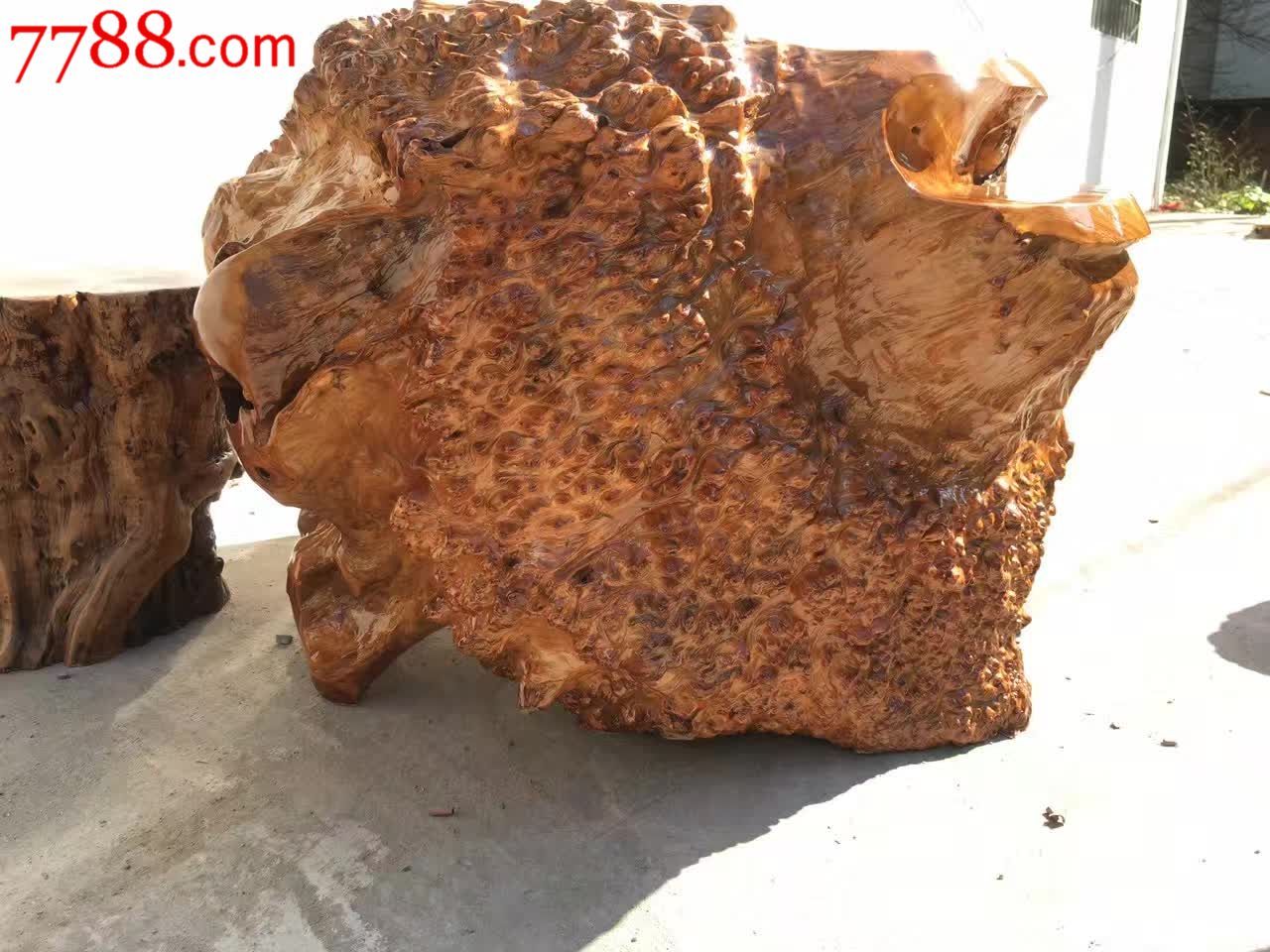 杉木瘤经典老料大自然