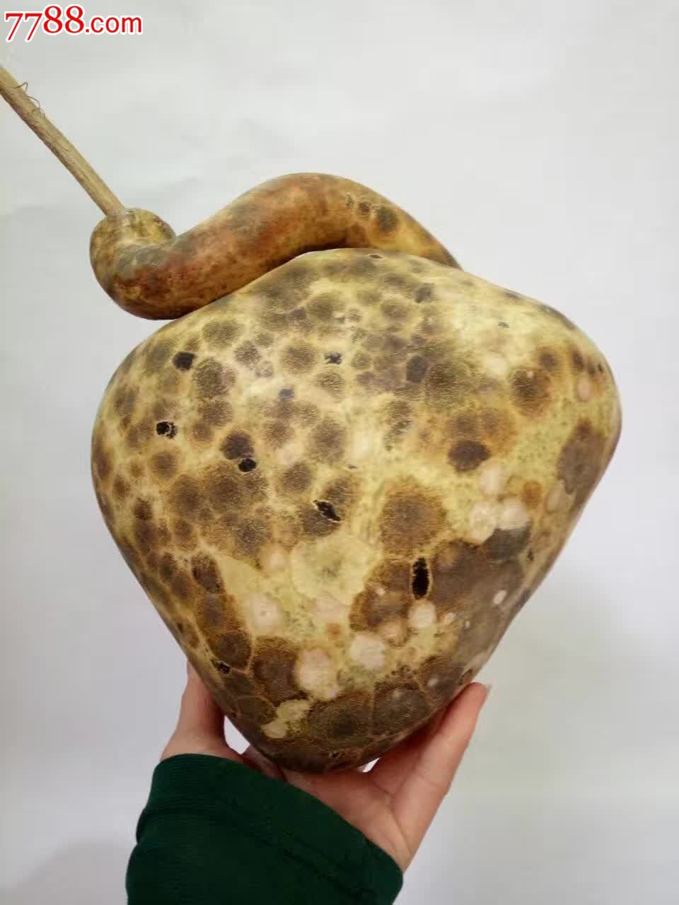 自然花皮大钱袋