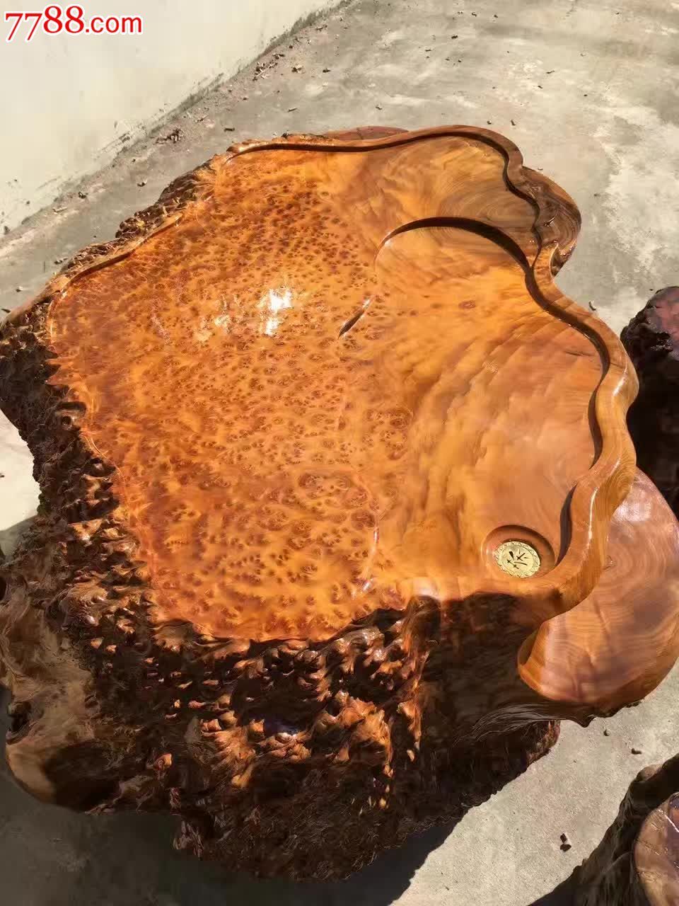 杉木瘤经典老料大自然