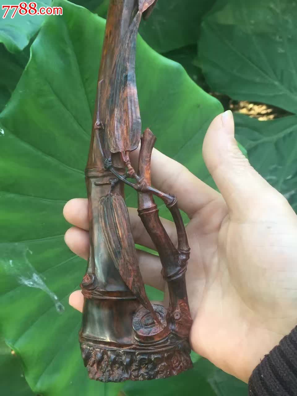 海南紫油梨竹子65重