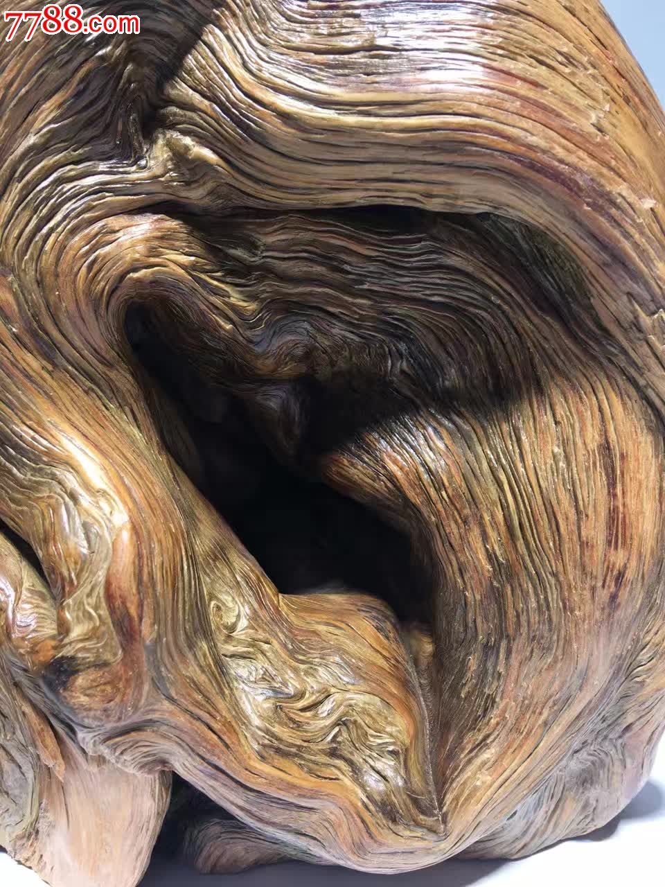 陈化崖柏年轮造型独特