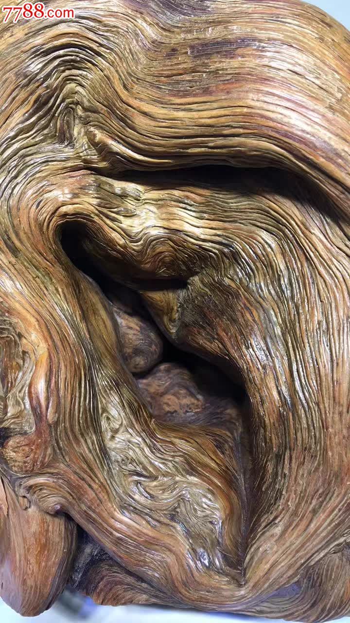 陈化崖柏年轮造型独特