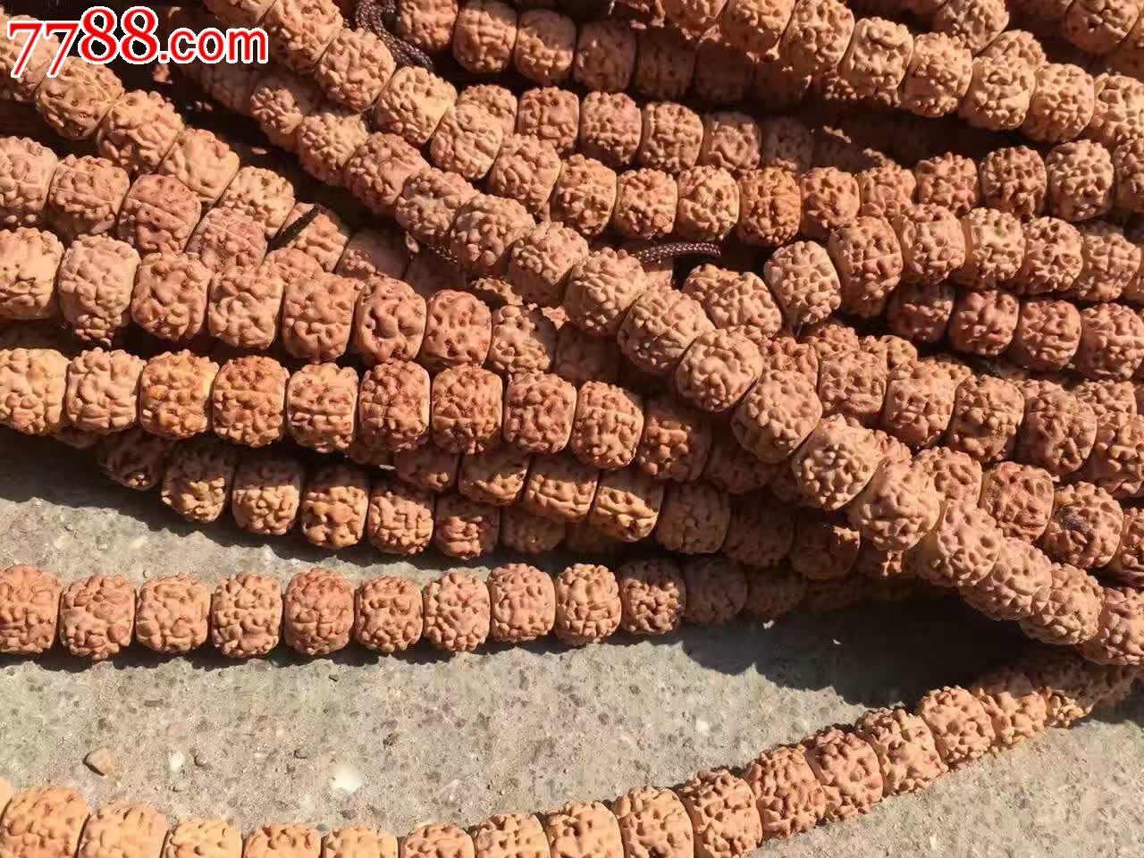 0000元-se48359317-金刚菩提手串-零售-7788收藏__中国收藏热线