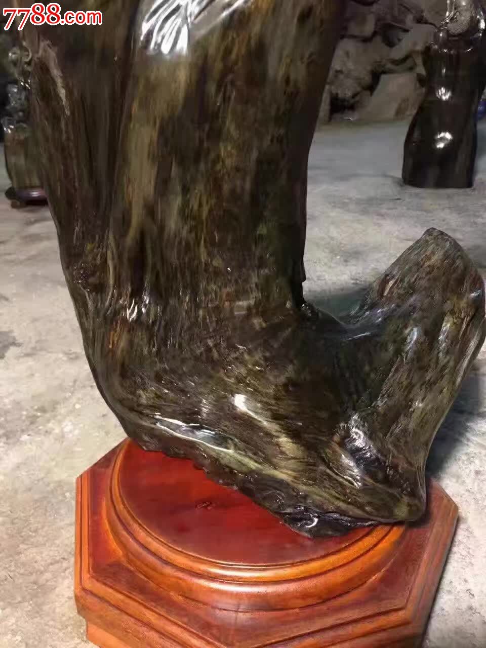 金丝楠木阴沉寿星不连