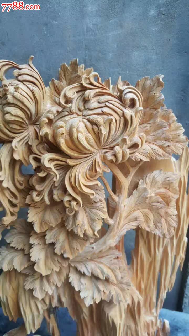 新品秋菊菊花是清新雅