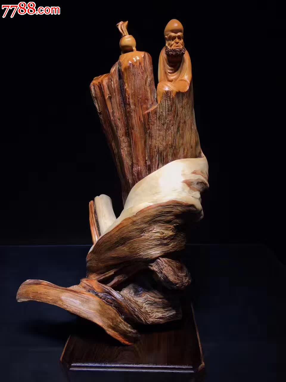 新品发布达摩四川崖柏