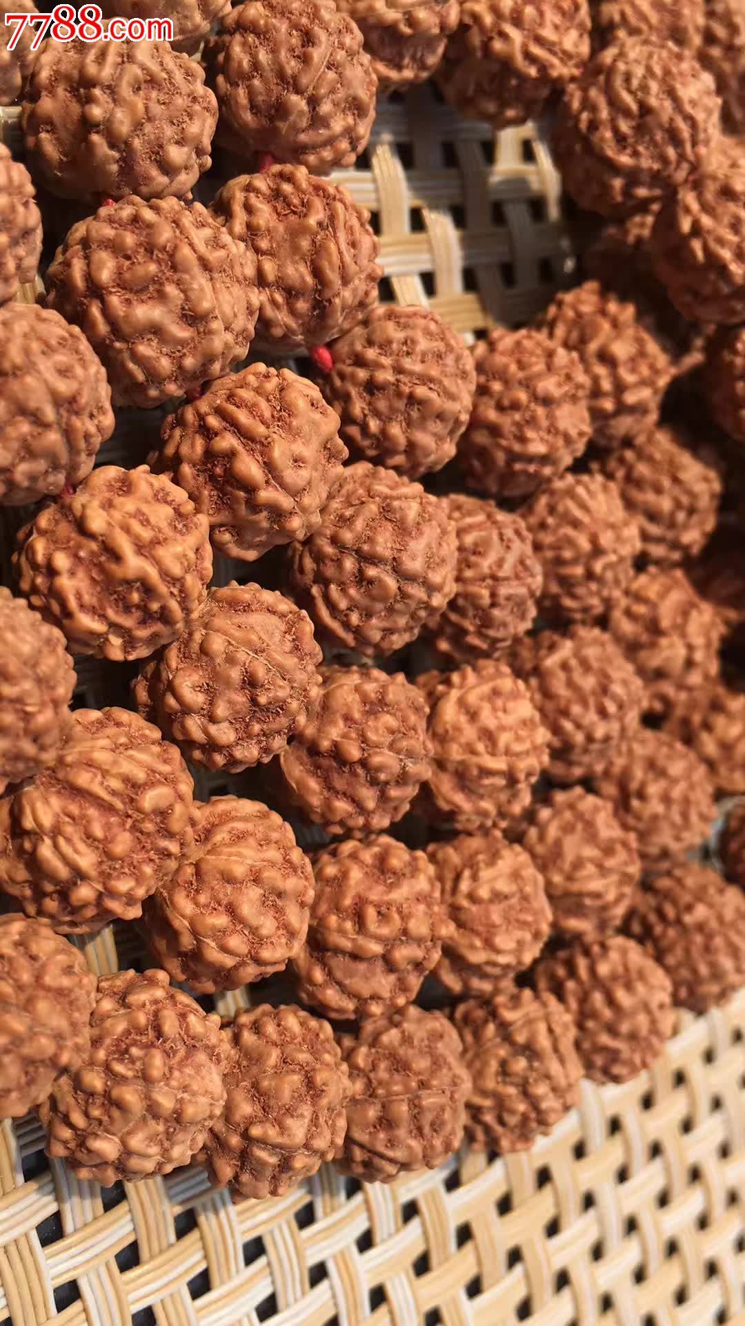 6辨满肉矮桩11同树