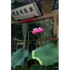 與誰同坐軒_7788古玩